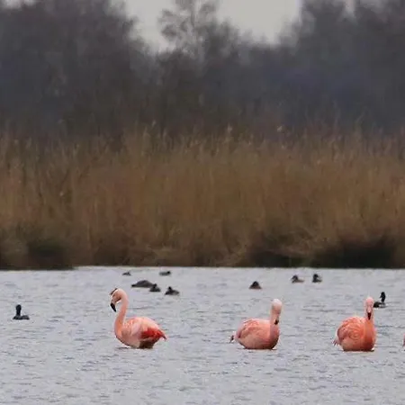 De Schoppe * Winterswijk