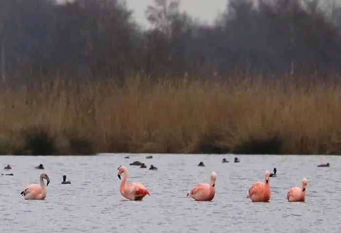 De Schoppe 4* Winterswijk